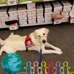 Meet your Posher, Pam